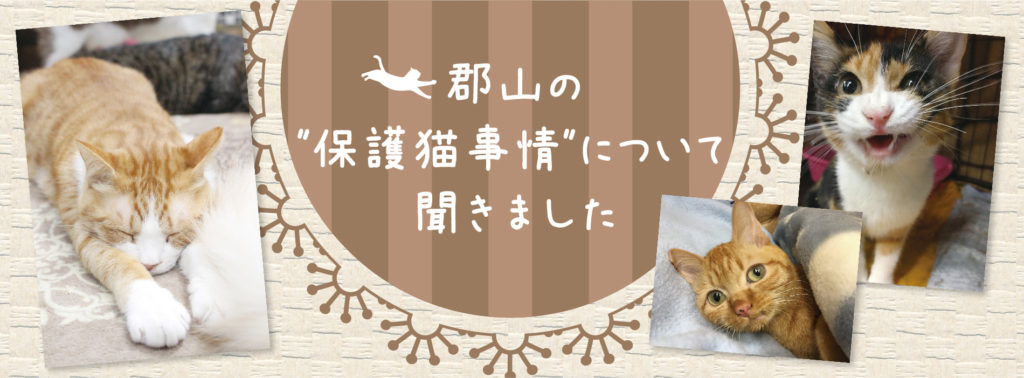 ラブラブ保護猫記事_banner-1