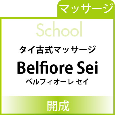 school_banner-Belfiore Sei