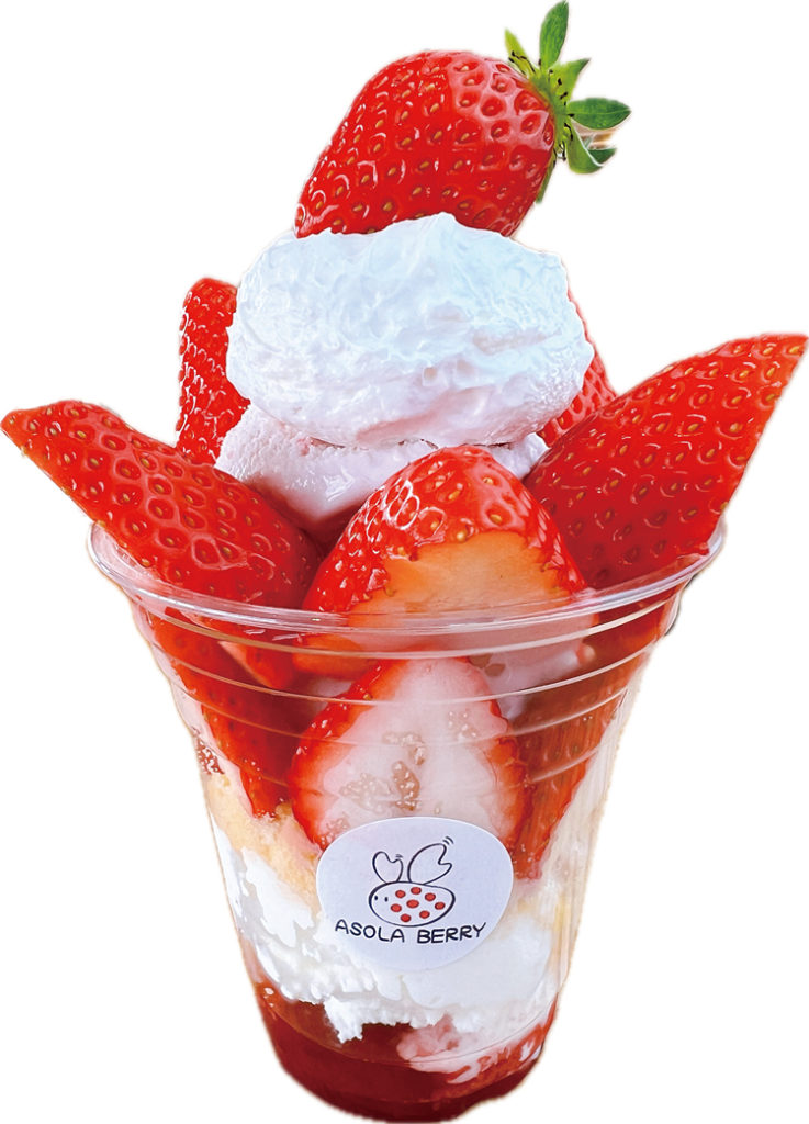 春を告げる郡山市の苺スイーツ特集】very good! very nice!! very×very